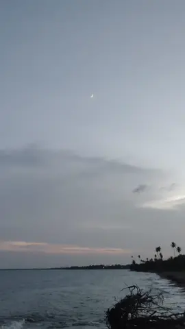 La Luna creciente 💗🌒#puertorico🇵🇷 