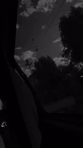 #الشعب_الصيني_ماله_حل😂😂 