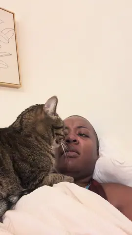He likes to get close as be can#catsoftiktok #cat #fypシ #cats #clingy 