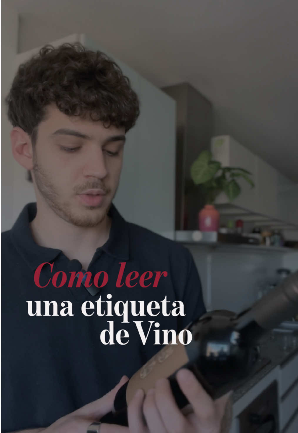 ¿Sabías cómo leer una etiqueta de vino? 🍷  Ahí vas a poder encontrar mucha info: quien lo hizo, de qué uva es o de qué región es Cuando aprendés a leerla dejas de elegir vinos solo porque “tienen una linda etiqueta” y empiezas a descubrir vinos que se adaptan a tu estilo.   👉🏽Guarda este video para la próxima que tengas que elegir una botella 