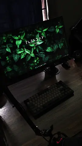 🍃 #pc #edit #paratii #pcgaming 