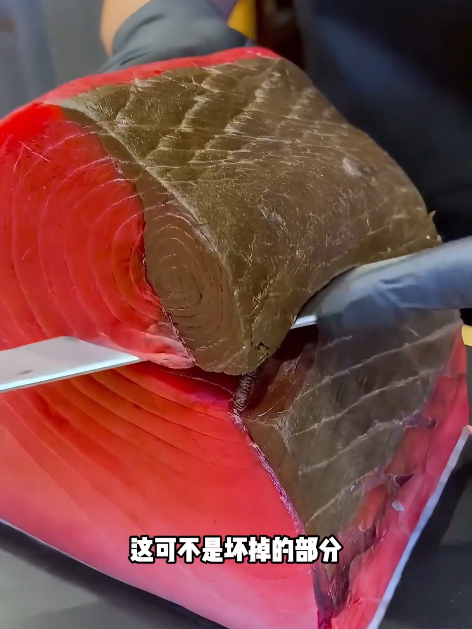 SANGACHO DEL ATÚN 🐟🔪 La franja oscura junto al espinazo, rica en nutrientes pero de sabor intenso, se retira con precisión para lograr un filete más suave y delicado. #Atún #Sangacho #Gastronomía #CocinaMarinera #AltaCocina #FiletePerfecto