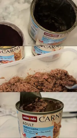 Rainy days calls for an extra something in our day to distract a little 😍 What do you do on rainy days?  ☔️ #CapCut #rainydays #cat #feedmycat  Mats / slow feeders - lickimat@Innovative Pet Products  Food cans- @animonda @zooplus.uk @zooplus  Toppers- blood powder & freeze dried quails by @CravingsPetCare  Whisk TikTok shop Items linked below - 👇 - hit the yellow basket  #CapCut  