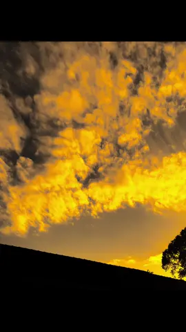 هذا الشوق يسيطر على كل أفكاري rindu ini memakan semua pikiran ku🥀 #arabic #arabicquotes #arabicsad #quotesarabic #xyzbca 