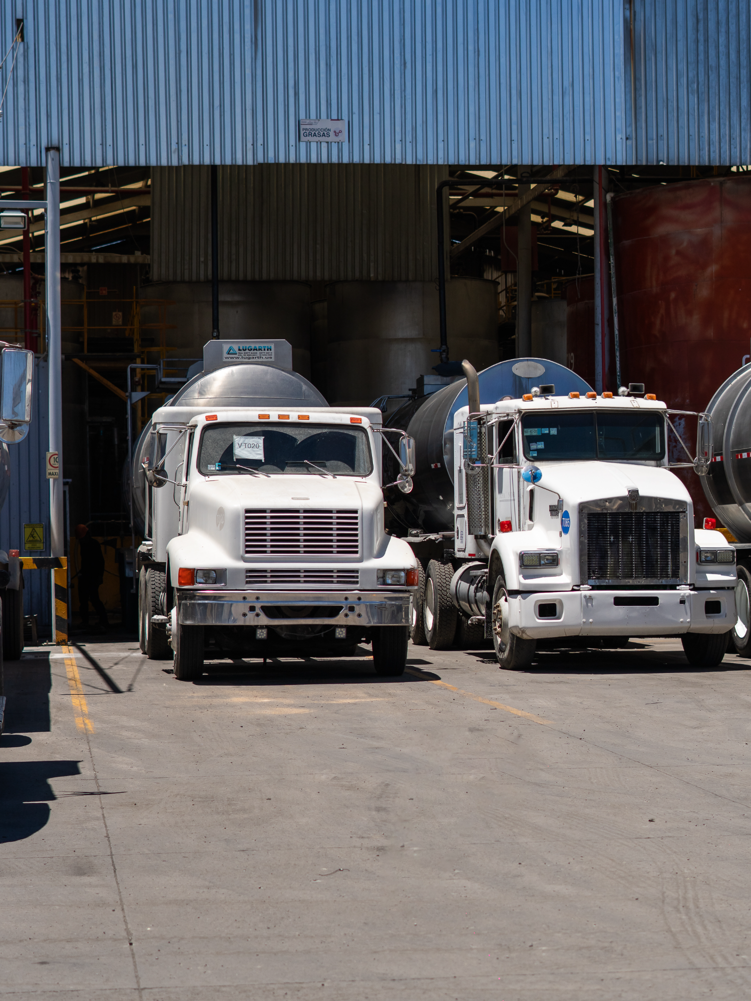 Sabes lo que es manejar una quinta rueda con responsabilidad. Y en Covadonga, valoramos eso. Si buscas trabajo serio, bien pagado y con ambiente parejo, esta es tu ruta. Estamos contratando. 📞5510882483 . . . #sebuscaoperador #quintarueda #camionerosprofesionales #trabajoconfiable #viajaconcovadonga