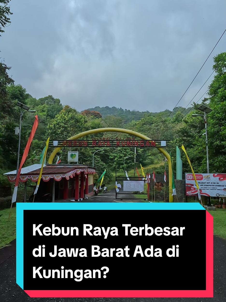 Kebun Raya Terbesar se Jawa Barat bukan di Bogor ternyata ada di Kuningan? ini adalah kebun raya kuningan dengan luas ~156 ha biasa orang-orang menyebutnya taman kuning, dan ini salah satu kebun raya terbesar di jawa barat, kebun raya botanical garden (bogor) ~87 ha dan kebun raya botanical (cianjur) ~84.99 ha, kita bangga jadi warga kuningan bukan? 📍Padabeunghar, Kec. Pasawahan, Kabupaten Kuningan, Jawa Barat 45559 #dimanakitu? 