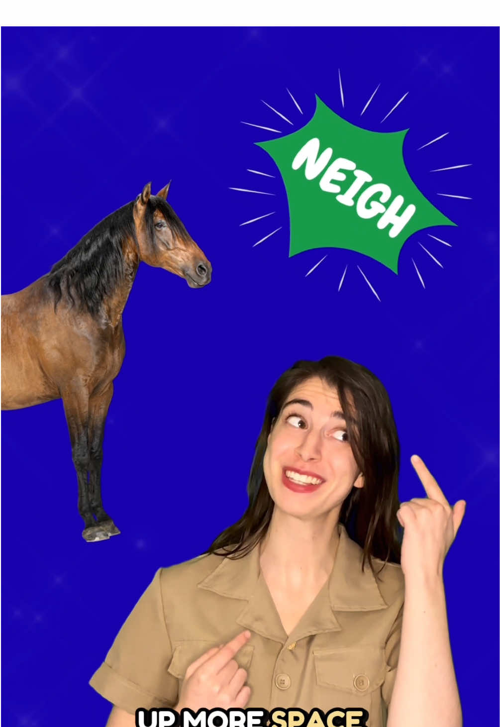 Horse facts featuring “dark horse” by @Katy Perry #horse #animals #katyperry 