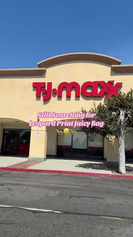 Day 2 Part 2 Searching for Leopard Print Juicy 😩🤞🏾🐆 @TJ Maxx #tjmaxxfinds #juicycouture #bags #shoppingvlog #shopwithme 