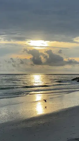 #davecoz #togetheragain #sunsets #beachvibes #goodvibes #sunnydays #floridalife 