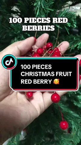 100 pieces na yan Christmas fruit red berry cherry 🍒🍒🍒🍒 for Christmas tree decorations 🥰 #redcherry #redberry #christmastreedecoration #christmas #foryo 
