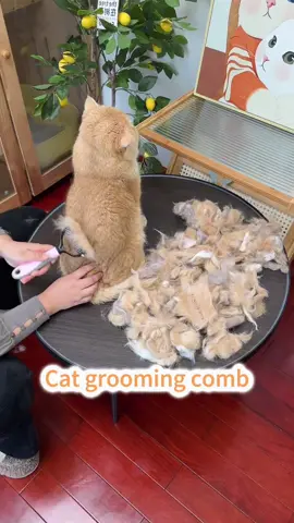 🐾✨ **“Goodbye mats, hello silky fur!”** 🪒💖 Meet the **Ultimate Pet Detangling Comb**—your secret weapon against stubborn knots *and* shedding chaos! 🌪️ Designed with **dual-sided magic**, it pampers skin while shredding tangles.  👉 **SWIPE** to see why 5,000+ pets *beg* for brush time:  ✅ **Round safety tips** = gentle massages, zero ouch.  ✅ **Hidden sharp teeth** = slice through mats like butter.  ✅ **One-pull clean** = shake off fur in seconds (no more clogged combs!).  💬 Comment “TANGLE-FREE” to banish grooming drama!  🛒 Tap the link in bio—*because even lions deserve a salon day!* 🦁💅  #PetGrooming #DetanglingBrush #KnotsBeGone #CatAndDogCare #HappyFurBabies    —  **P.S.** Your pet might still side-eye the comb… but *you’ll* love the fur-free couch. 😼🛋️  —