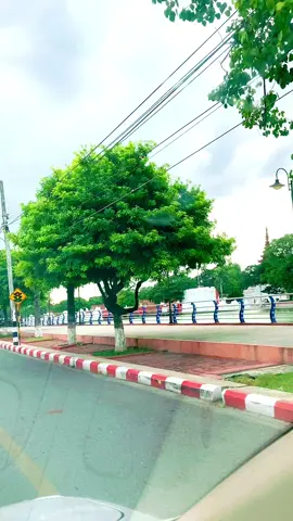 Morning 🌹#fyp #foryou #ti̇ktok myanmar #9/ မရိုက်ရ မနေနိုင် 👌