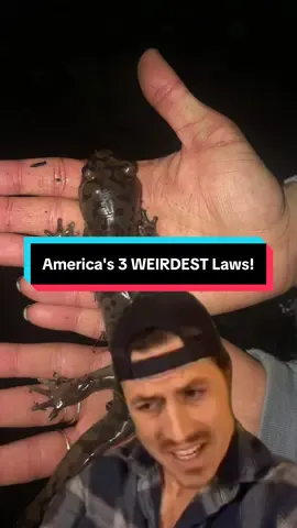 America's 3 WEIRDEST Laws!
