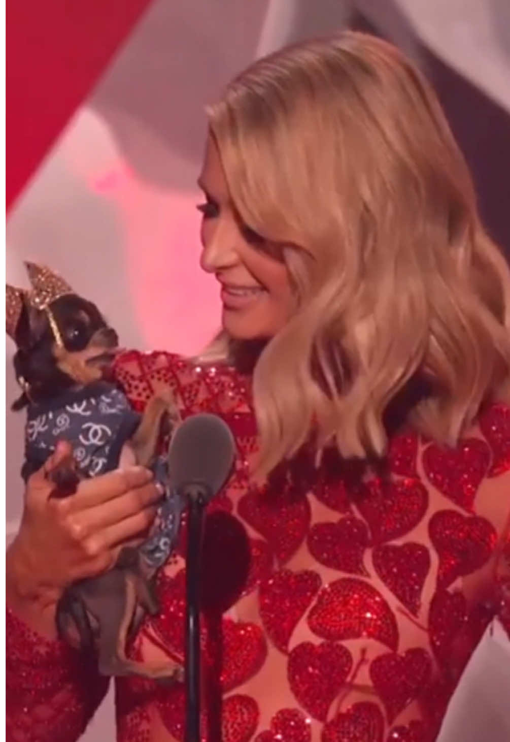 Serving looks & puppy love on stage 🐶👑 Diamond Baby & I loved crowning @arianagrande pup Toulouse with the award for Cutest Musician’s Pet at the #iHeartRadio Music Awards🐾 #NationalDogDay @iHeartRadio #ArianaGrande 