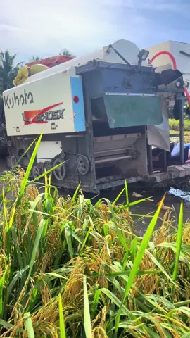 # cái gì ah làm cũng được máy mắc lầy ah lên ko được 🤣😂🤣#xuhuong #maycatlua #dc105x 