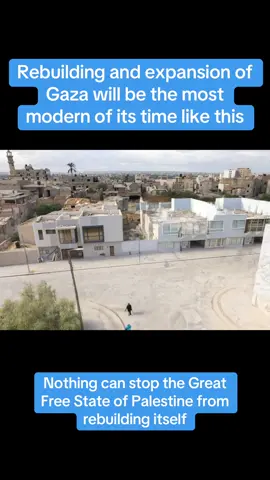 Rebuilding of the great new free state of Palestine will begin soon #palestine #gaza #fyp 