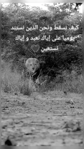 أياك نعبد وإياك نستعين 