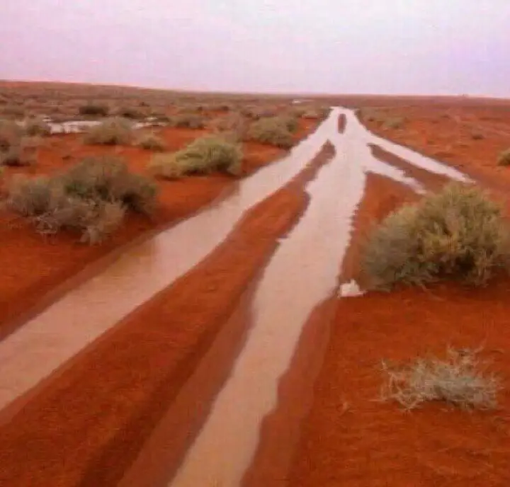 تدور الأرض وتدور السوالف والسنين تدور تدور الأرض وتدور السوالف والسنين تدور وأنا لو أعرف اللي راح ماني بعرف الباقي يقولون القصيد شعور والشاعر بدون شعور وأقول الله يعاقبني إذا ماهو من أعماقي أنا لو أكذب بشعري وقف نبض ويبس حنجور وقادر أخسر الدنيا وعاجز أخسر أخلاقي ولأجل عنق المها والصوت الأدفى والعيون الحور وقف عمري ولا أدري ويش أنا من وقفته لاقي وقف عمري ولا أدري ويش أنا من وقفته لاقي قسم بالله ما قبلك غياب ولا بعدك حضور ولكن ودي بفرقاك لو ما ودك فراقي تعاتبنا بما فيه الكفاية من ثمان شهور وسالت دمعتين وطاح قلب وماتت أشواقي وسالت دمعتين وطاح قلب وماتت أشواقي تعدتك المشاريه وجفاك اللوم والمستور إذا ما يكشفه صوتي كشفه الحبر بأوراقي تعبت أضحك على نفسي وأبرر لك وأعيش الدور تعبت أجامل ظروفك وأصدّق كذبك الراقي يكفّيني أغيب وخافقي ما جاك منه قصور ويكفّيك أتّذكّر كل ليلة لهفة عناقي تذكّر يوم أخليك اتباهى كبرياء وغرور يوم إني أتحدى بك وأخيب هقوة الهاقي يوم إني أتحدى بك وأخيب هقوة الهاقي وتذكّر يوم أعذرك وإنت لا صادق ولا معذور أدور لك عذر وأصدقه وأكذّب أحداقي وتذكّر يوم جيت من الحزن متضايق ومكسور فرشت لك الضلوع وقلت لك يا سيد عشاقي فرشت لك الضلوع وقلت لك يا سيد عشاقي خذ اضلوعي وابن فيها يسار الصدر بيت وسور ترى ما فيه قبلك من سكن صدري وخفاقي وبعد هذا رحلت ولا بقى إلا بيتك المهجور وألا يا كبرها لا من رحلت ومنزلك باقي وألا يا كبرها لا من رحلت ومنزلك باقي