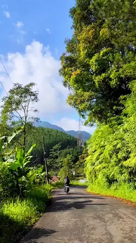Desa Wisata Petungkriono Pekalongan😍😍😍#pekalongankotabatik #temanhealing #pecintaalam #travellingindonesia #warga62 