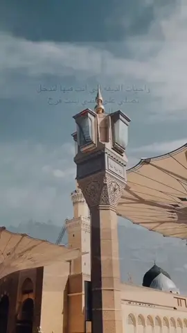 #creatorsearchinsights 