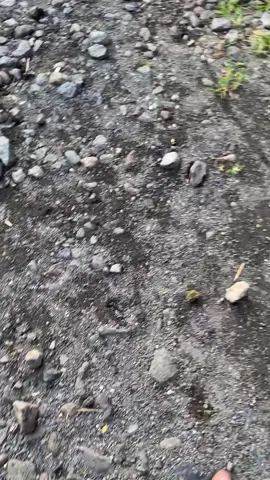 Part II #xybca #mxkingmodifikasi #mxkingprostreet 