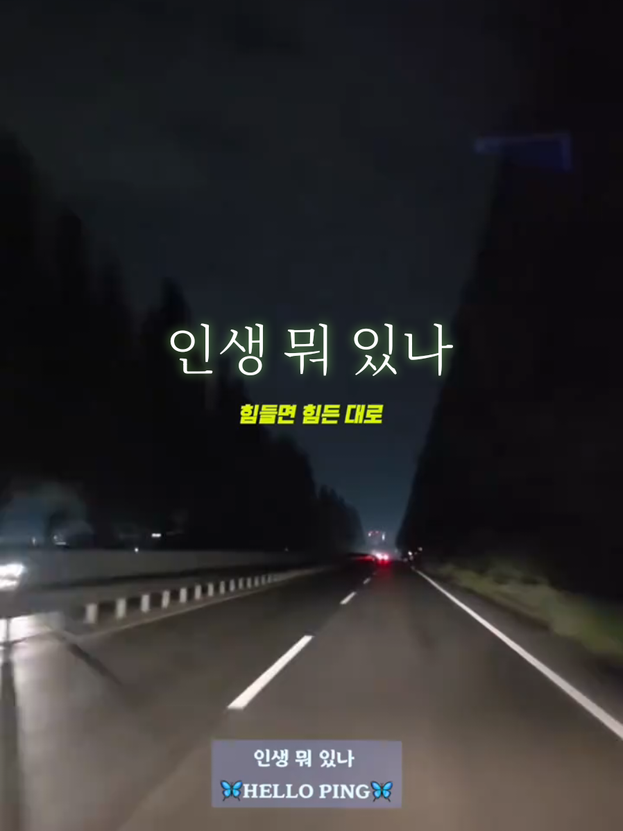 🎵 인생 뭐 있나  이노래 너무좋아!!👍  Youtube 검색 🦋HELLO PING🦋  #인생뭐있나 #Al 