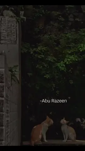 #akhuyasalah #aburazeen #wasyatkogenawa #wasyatmaranao 