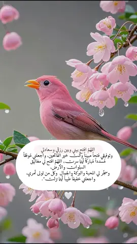 وفي هذا الصباح 🤍اللهُمَّ افتح بيني وبين رزقي وسعادتي وتوفيقي فتحاً مبيناً وأنت خير الفاتحين، واجعلني مُوفقاً مُسدداً مُباركاً أينما سرت، اللهُمَّ افتح لي مغاليق السماوات والأرض، وسخِّر لي المحبة والبركة والجمال وكل من تولى أمري، واجعلني خفيفاً طيباً أينما نزلت🤍#صباح_الخير #صباحكم_معطر_بذكر_الله
