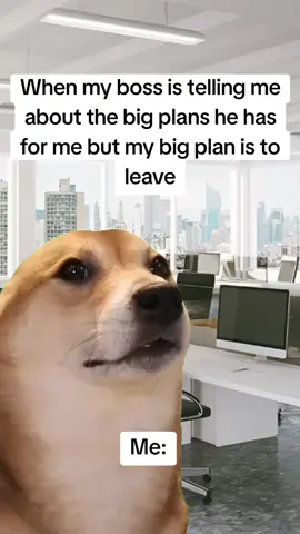 #workmemes #funnyvideos #worklife #foryou #fypシ 