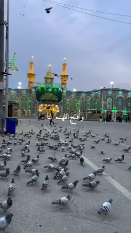 وافتح اللهم لنا مصاريع الصباح بمفاتيح الرحمة والفلاح 🌤️ #شيعة #شيعة_الخليج #القطيف #الاحساء #العراق 