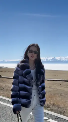 Chinchillaaa e sẵn nhoa #xuhuong #sangchanh #aolong #chinchilla 