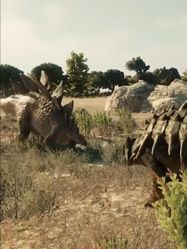 El Stegosaurus fue uno de los dinosaurios más icónicos del Jurásico tardío. Medía hasta 9 metros y pesaba cerca de 5 toneladas. Sus placas óseas podían superar los 60 cm y pudieron servir para regular la temperatura o como defensa visual. Su cola, conocida como thagomizer, tenía cuatro púas letales capaces de herir gravemente a depredadores como el Allosaurus. Aunque su cerebro era pequeño, estaba perfectamente adaptado a su entorno. #Stegosaurus #Dinosaurios #Jurásico #Curiosidades #terespondo 