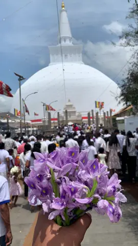 රුවන්වැලිසෑය 🙏🌸 #tiktok #රුවන්වැලිමහාසෑය #anuradapura 