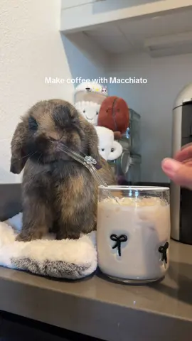 Im back to help my favorite human make her favorite drink ❤️✨ Using our favorite @Nespresso machine and pods from @Starbucks ☕️ #bunnybarista #bunnycoffee #coffeetiktok #bunnytok #bunnylove 