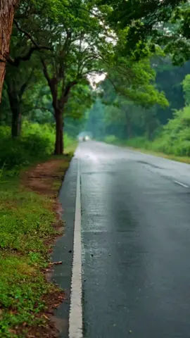 💚🎧Beauty of natural 🎧💚 #tending #natural #1million #repost #onthisday  @Arulpragasam Singer @Best Videos Song Bgm 🎶 @janany kunaseelan 