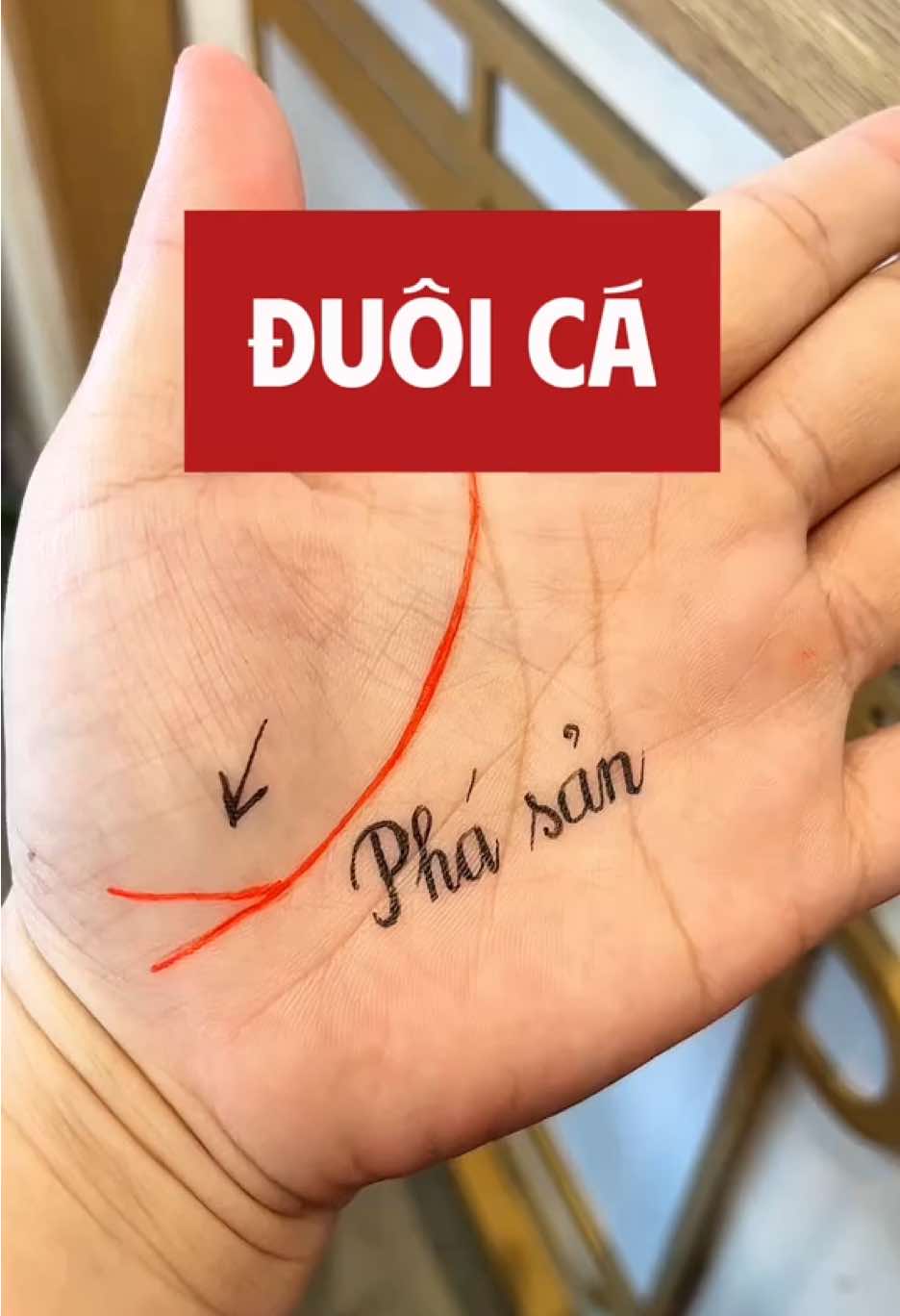 Đuôi cá - Phá sản #coutxemtay 