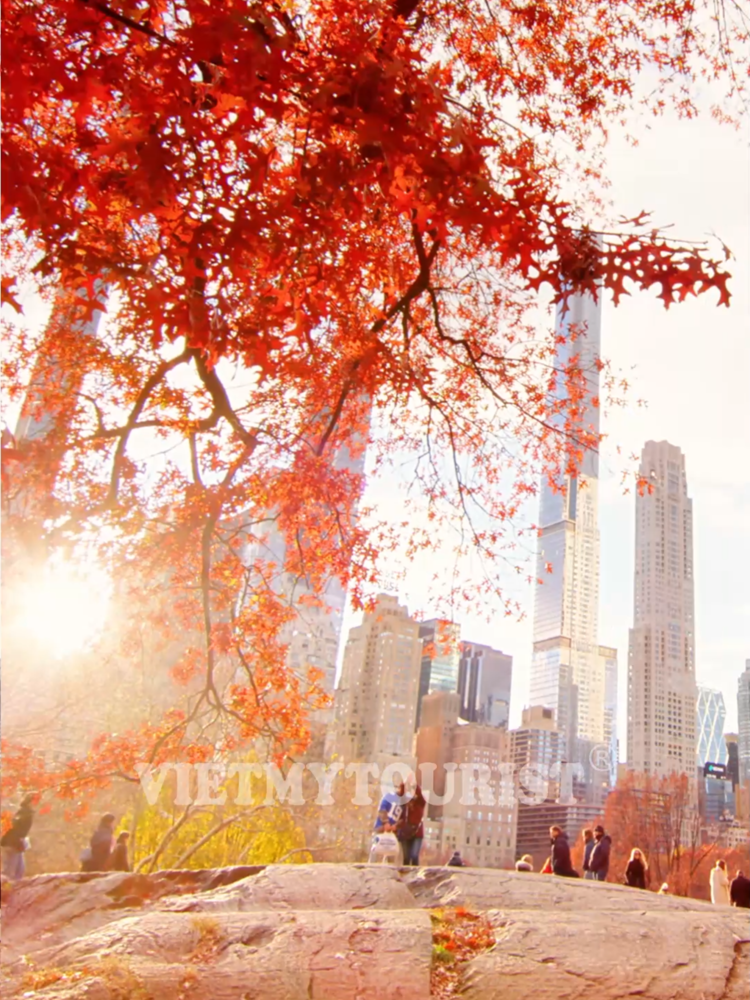 Nước Mỹ - lựa chọn hoàn hảo cho mùa thu năm nay! #Vietmytourist #TourMy #DuLichMy #foryou #muathu