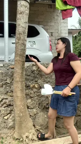 Eroknya ada di keranjang kuning🤣#fyp 