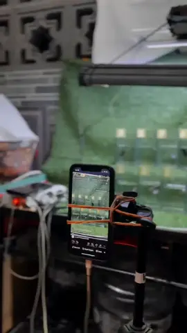 team sukses cleret beta fish  #cupanghias #cupanghiasindonesia #cupangavatar #cupangkontes #cupangavatar #cupanghalfmoon #cupangpelakat 