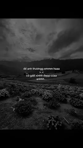 #qtaiihaysuyy_08 #pqtxuhuong #fbtxuhuong 