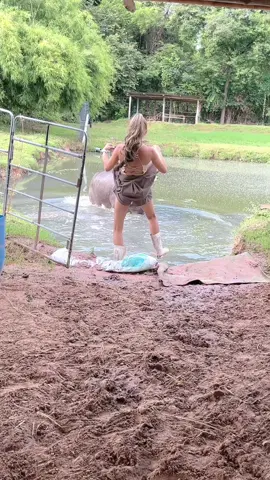 เชอะใส่อีก#viral?videotiktok💘❤️‍ #น้องควายฉลาดแสนรู้ #viralvideo#dcrfarmควายงามบ้านโคกสูงตําบลยาง 