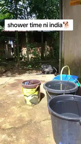 DOG SHOWER TIME  #showertime #DOG #dogsoftiktok #fyp 