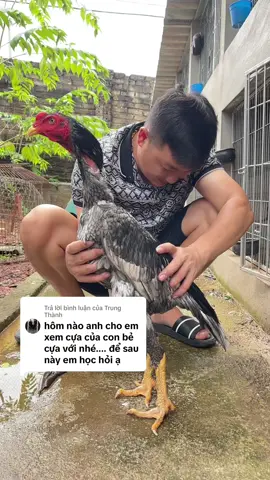 Trả lời @Trung Thành e tham khảo nhé  🫰🫰🫰🫰