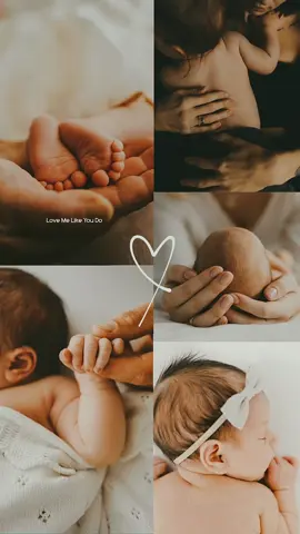 பூவாச்சு என் தோட்டமே 💫🧚🏻‍♀️