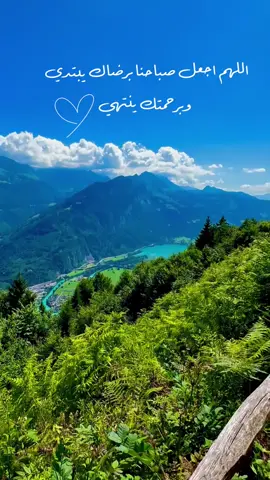 صباح الخير🩵🕊️ #صباح_الخير #fybシ #foryoupage❤️❤️ #الشعب_الصيني_ماله_حل😂😂 #انترلاكن 