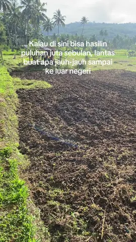 Tapi kalau gengsi nya tinggi apa boleh buat #petaniindonesia🇮🇩🇮🇩🇮🇩🌿🌿 #petanimilenial #petanimuda #petani #petanisukses 