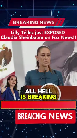 Lilly Télleaz just EXPOSED Claudia Sheinbaum on Fox News!! #lillytellez #mexico #claudiasheimbaum #usa #american 