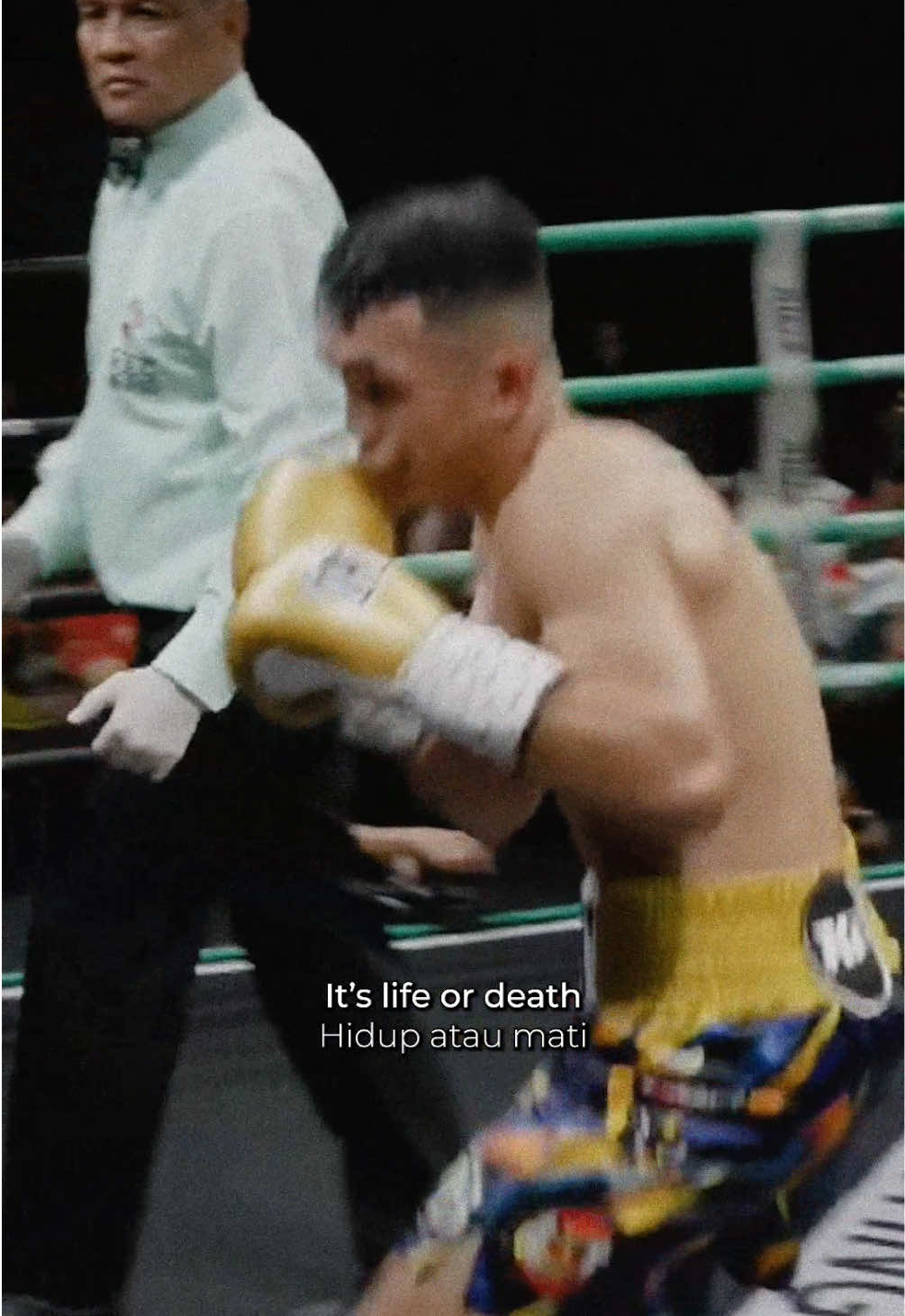 Hidup atau mati, menang atau kalah? 3 hari lagi🔥⚡️