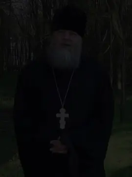 Father spyrodion on temptation and suffering #thegreatnoticing #christiantiktok #christ #bible #orthodoxchristian #postman #endtimes #christian #God #churchtok 