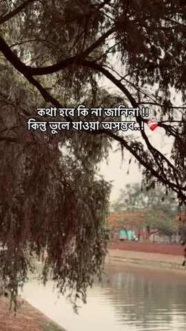 : কথা হবে কি না জানিনা !! কিন্তু ভুলে যাওয়া অসম্ভব..! ❤️‍🩹 #fyppppppppppppppppppppppp #bangladesh🇧🇩 #ইনশাআল্লাহ_যাবে_foryou_তে #foryou #tartreadingvideo 